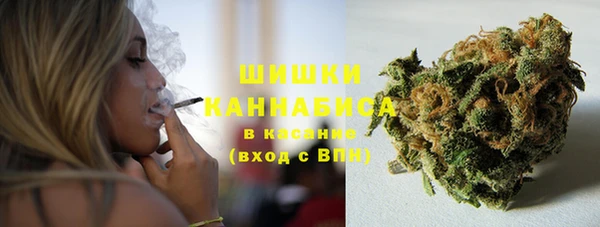 стаф Сафоново
