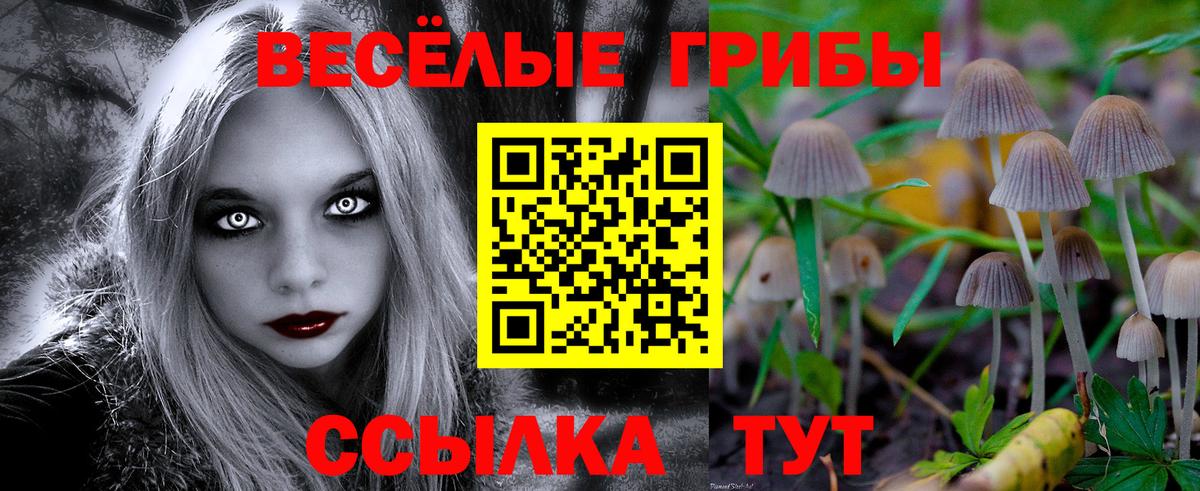 Псилоцибиновые грибы GOLDEN TEACHER Лиски